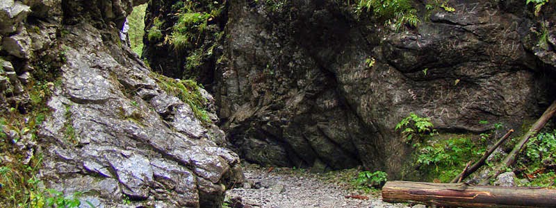 Krakkoi Piacok