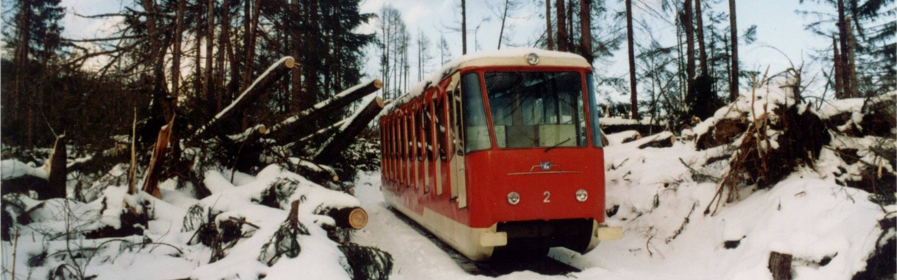 A tátrai széldöntvényekről - 100 évvel a vihar után
