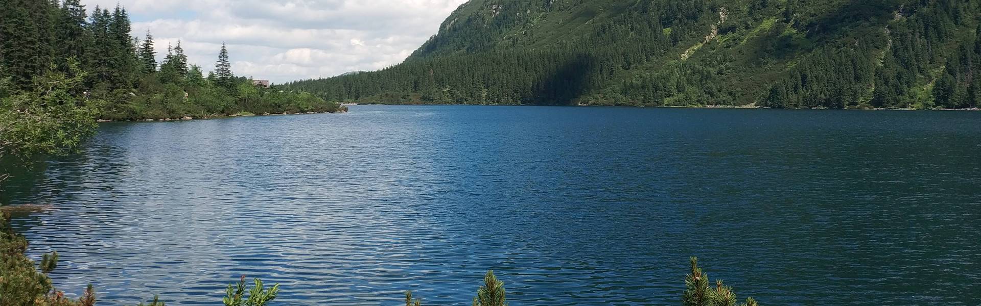 A mélybe zuhant és elpusztult a Halastónál (Morskie Oko) élő hód
