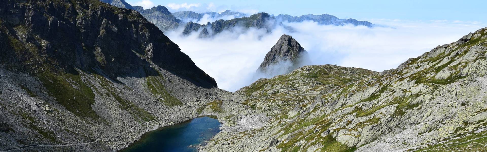 Medvedí rok tanösvény, avagy egy év egy medve életében