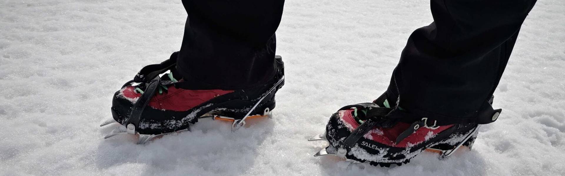 Hómacska túlértékelve