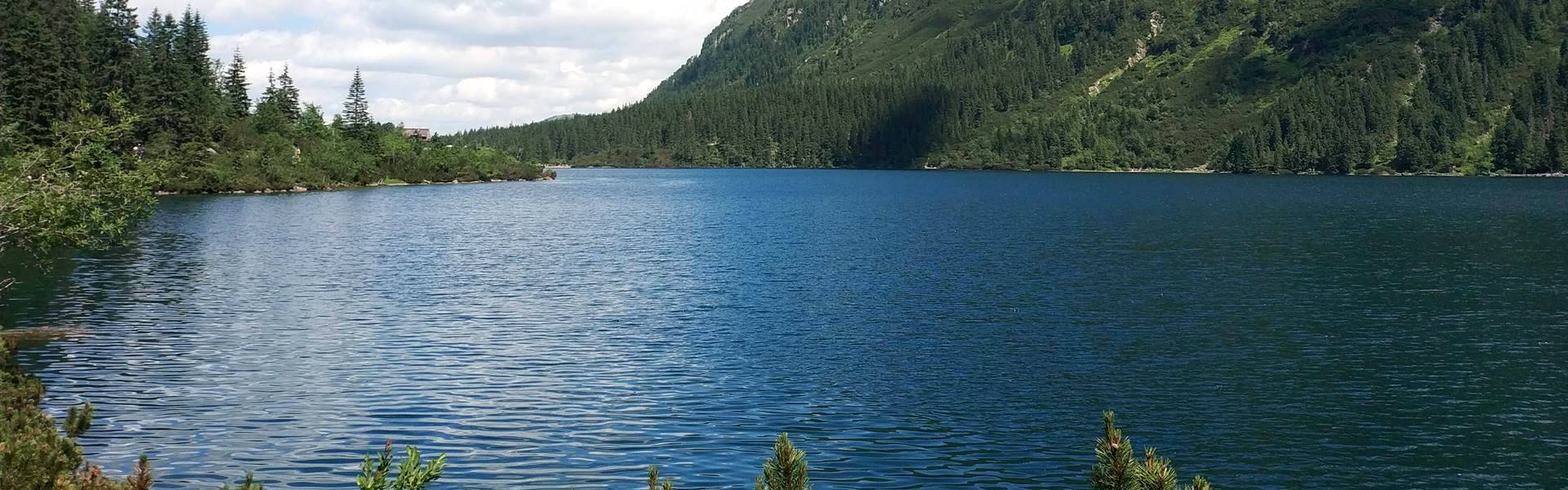 Elektromos buszokat teszteltek a Halastónál