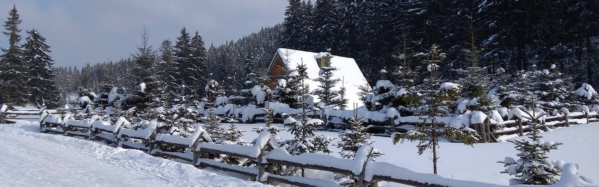 Hollók garázdálkodnak a Tátrában