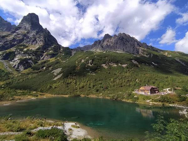 Szégyen a Zöld-tónál: egy turista kövekkel dobálta a vadkacsákat
