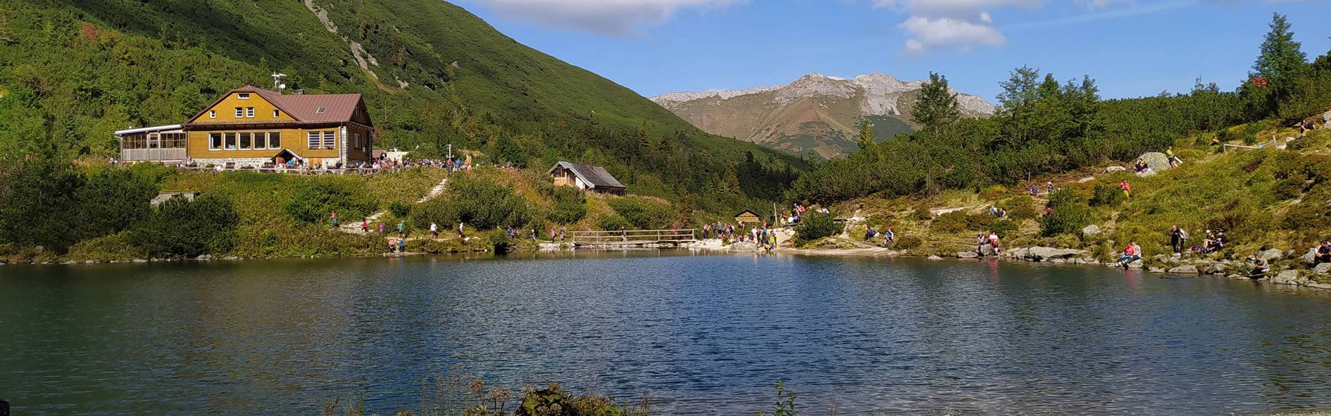 Szégyen a Zöld-tónál: egy turista kövekkel dobálta a vadkacsákat
