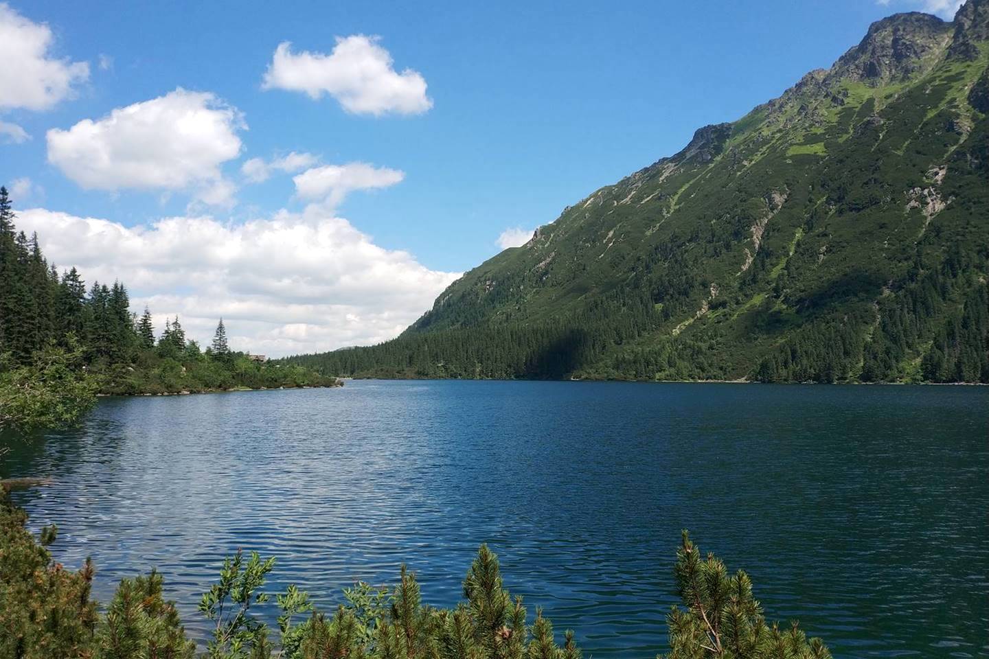 Hamis parkolójegyek Łysa Polana térségében-1