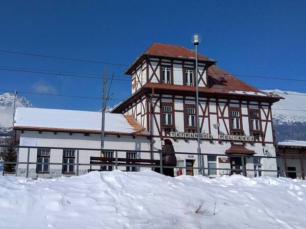 Autó gázolt el egy hiúzt a Tátrában