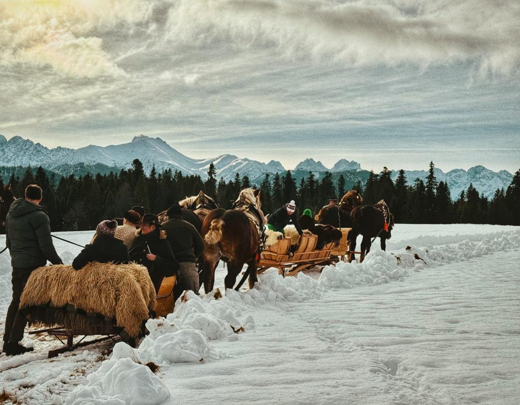 A TANAP megnyitja a látogatók előtt a javorinai vadaskertet-1
