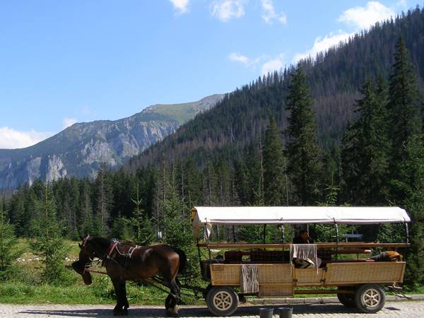 Kérdésessé vált a Halastó felé közlekedő lovas fogatok korlátozása