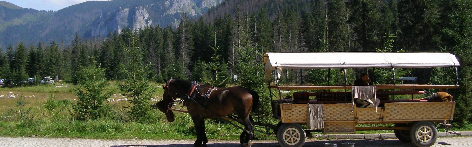 Kérdésessé vált a Halastó felé közlekedő lovas fogatok korlátozása