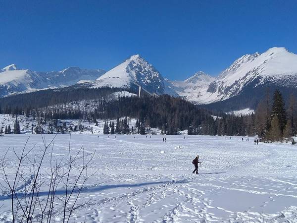 Azt hiszed már mindent láttál? Egy kerékpáros bebizonyította az ellenkezőjét!