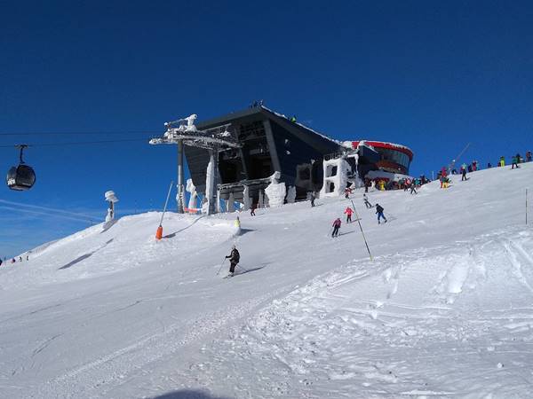 Az utóbbi két halálesetnek talán egyszerű a magyarázata