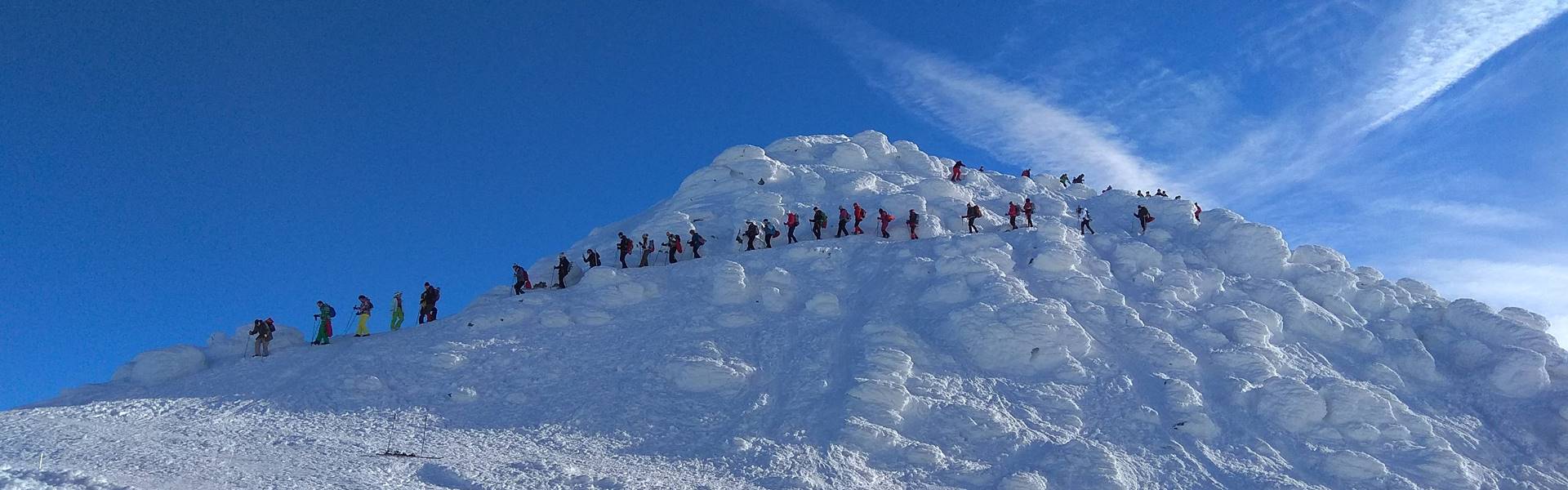 Az utóbbi két halálesetnek talán egyszerű a magyarázata