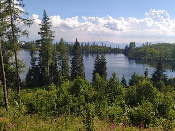 Valóban változnak a tátrai erdők?