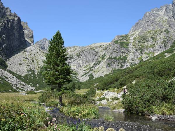 Ismét megnyitották a Kis-Nyereg-hágót- és a Monk-völgyet